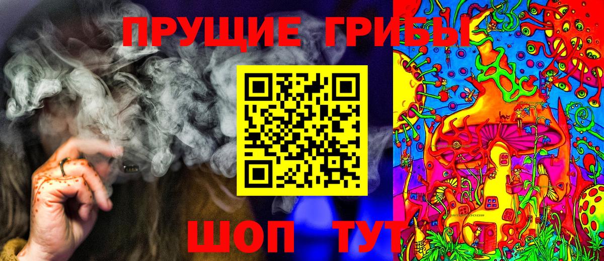 Псилоцибиновые грибы Psilocybine cubensis Ростов Великий